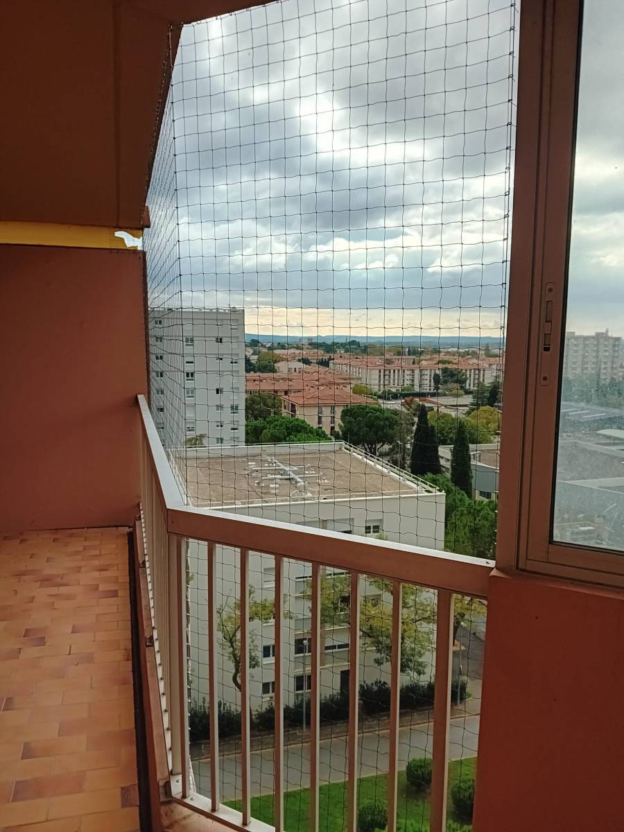 Dépigeonnage tarif compétitif pour les syndics de copropriété et espaces commerciaux Fréjus St-Raphaël 83