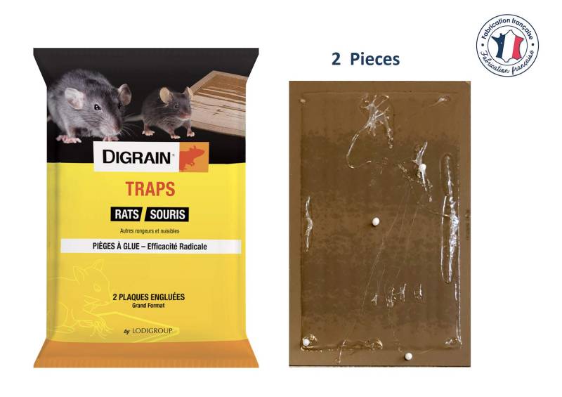 Piégée englués anti rat et souris