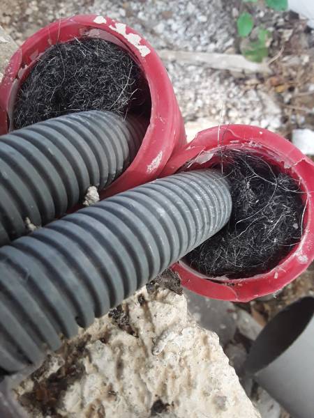 Colmatage de fourreaux pour lutter de façon préventive contre les rongeurs en PACA