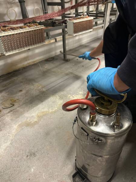 Contrat annuel de désinsectisation à Nice dans les Alpes-Maritimes