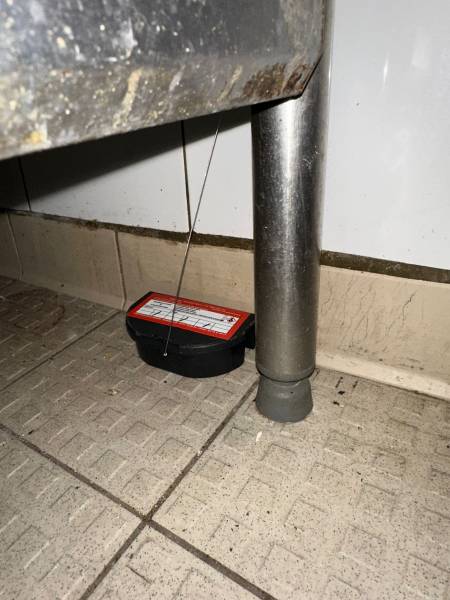 Protéger une boulangerie contre les rongeurs à Martigues