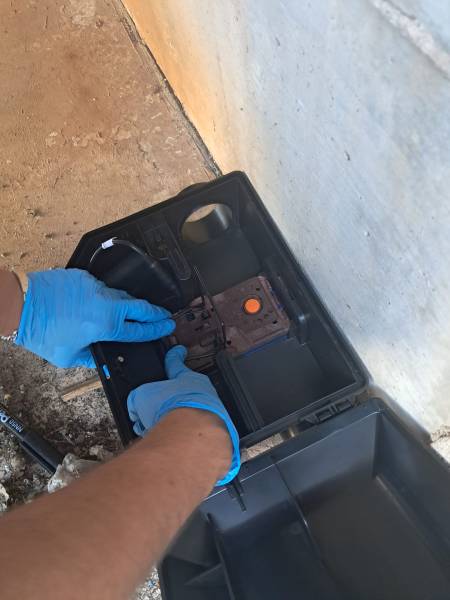 Entreprise spécialisée pour se débarrasser des rats dans un commerce alimentaire à Avignon