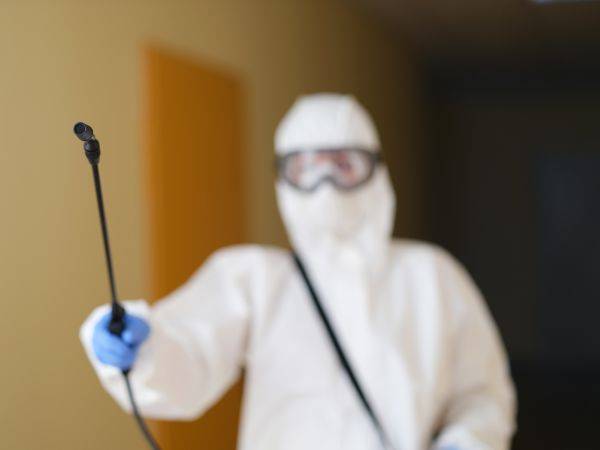 Gestion des nuisibles dans les zones de stockage d'usine dans le Vaucluse