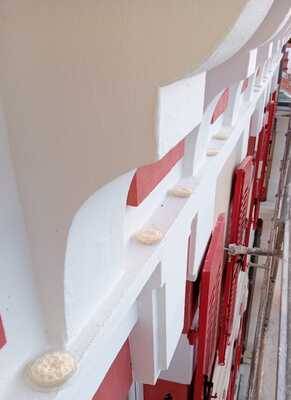 Pose de Bird Free coupelles anti pigeon à Monaco