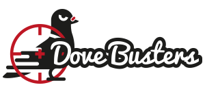 Protégez vos bâtiments contre les nuisances aviaires en PACA avec Dove Busters
