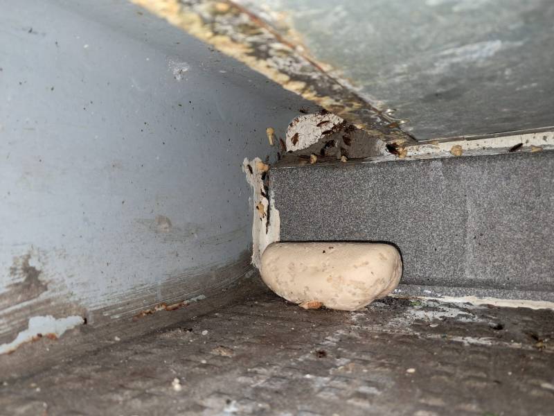 Meilleure entreprise pour lutter contre les cafards et les nuisibles dans une pâtisserie à Nice