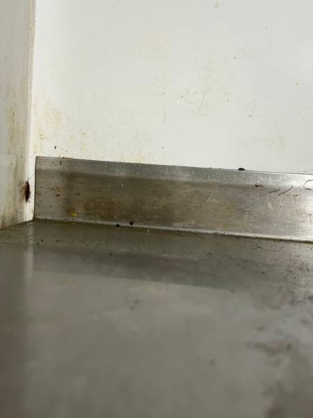 Lutte contre les insectes nuisibles entreprise professionnelle avec le devis gratuit à Toulon dans le Var.