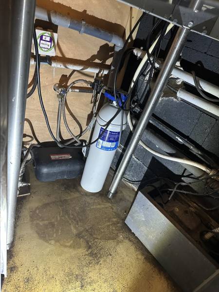 Éviter la présence de rongeurs dans votre restaurant à Hyères dans le Var.