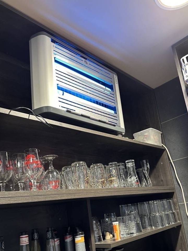 Se débarrasser des insectes volants dans un restaurant à Draguignan dans les Alpes-Maritimes.