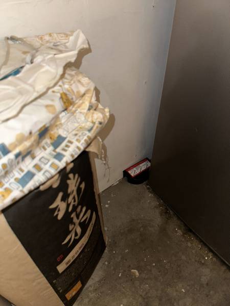 Intervention discrète de dératisation dans un restaurant à Cannes dans les Alpes-Maritimes.