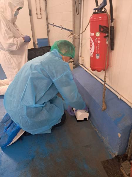 Piège écologique contre les rats et les souris dans une industrie agroalimentaire à Toulon