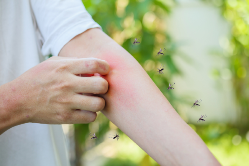 Plan de traitement contre les moustiques dans le jardin d'une copropriété à Avignon