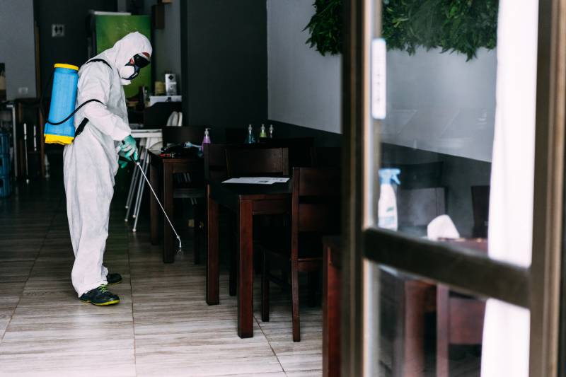 Qui contacter pour une désinfection rapide et efficace d’un restaurant infesté à Hyères