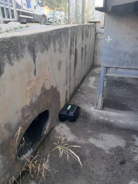 Se débarrasser des rongeurs dans un établissement de transport à Nice