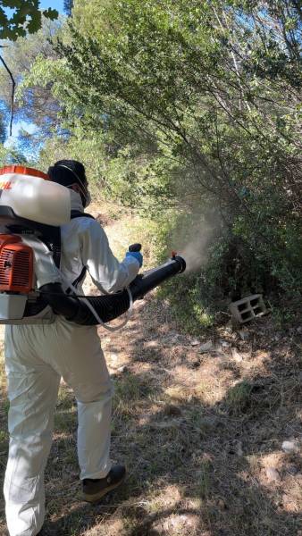 Traitement contre les moustiques en extérieur dans une résidence à Avignon