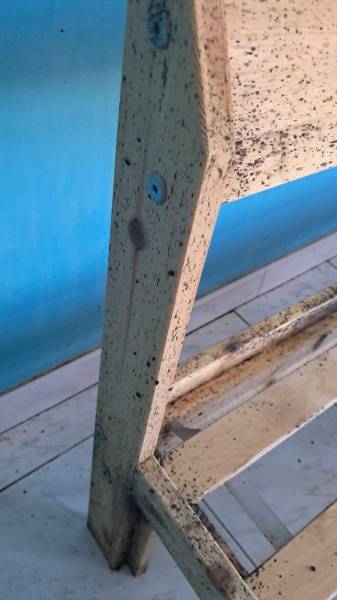 Intervention discrète et rapide contre punaises dans une résidence étudiante à Avignon