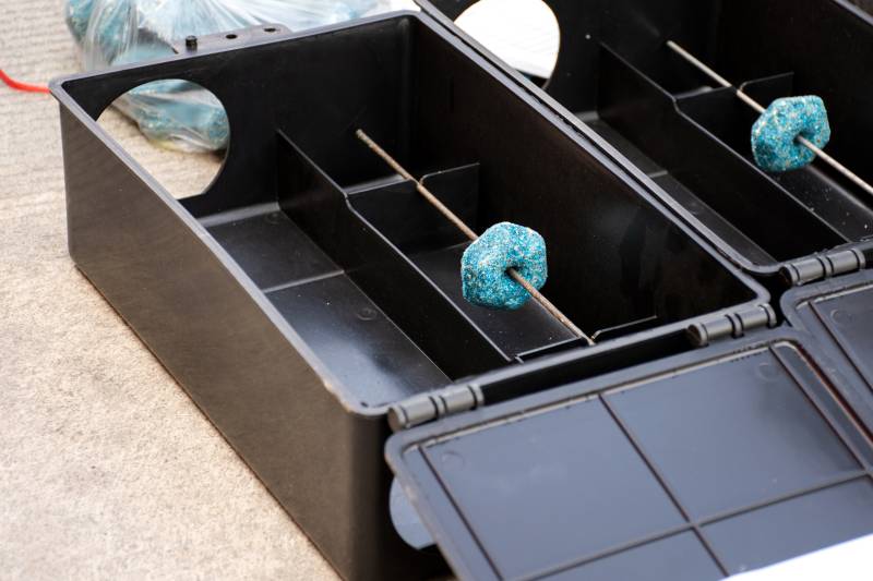 Traitement des rats avec appâts sécurisés dans une copropriété à Menton