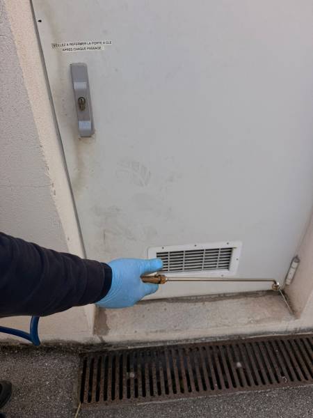 Traitement fourmis en PACA : Nos solutions professionnelles efficaces