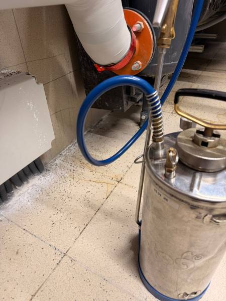 Traitement fourmis en PACA : Nos solutions professionnelles efficaces