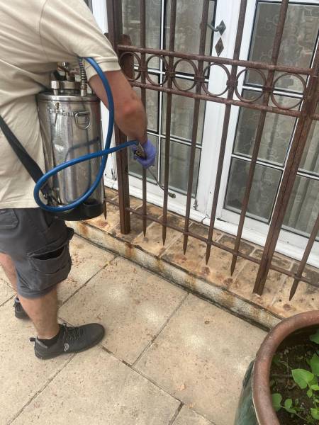 Désinsectisation dans le traitement des fourmis dans une terrasse à Antibes