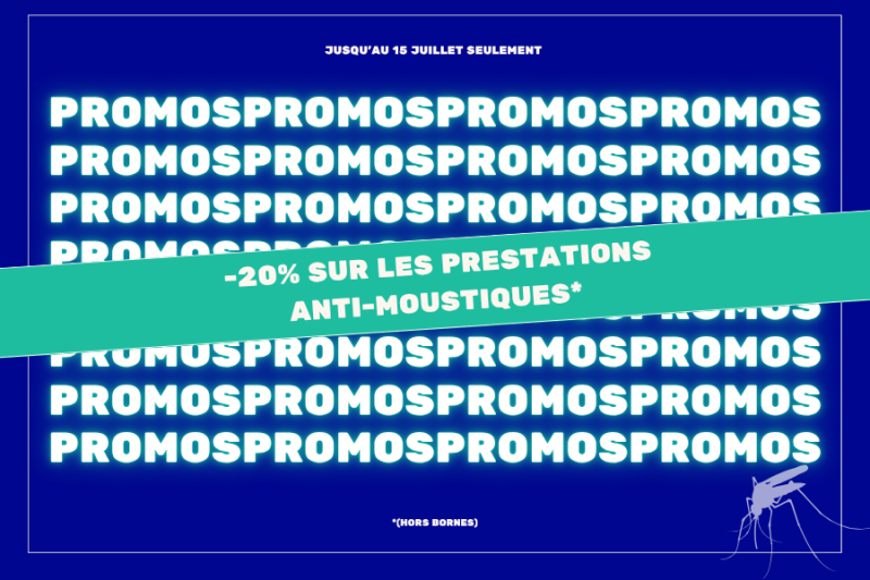 OFFRE ESTIVALE