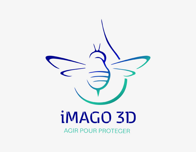 Désinsectisation puces de parquet à Cannes