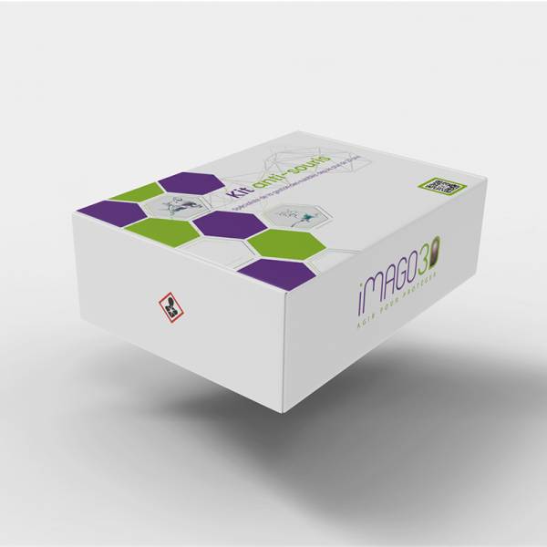 Protégez vos espaces avec notre kit anti-rongeurs