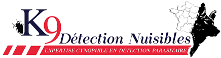 Détection canine pour recherche de punaise de lit dans un hôtel ou un Airbnb à Nice, dans les Alpes-Maritimes, chez K9 Détection Nuisible