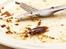 Nos prestations sur le secteur de Antibes 06