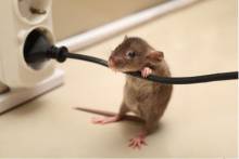 Nos prestations sur le secteur de Avignon Vaucluse