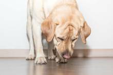 Nos prestations sur le secteur de Marseille Bouches-du-Rhône