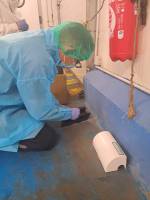 Notre zone d'activité pour ce service Solutions complètes de dératisation pour les entreprises de transport et logistique