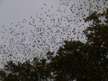 Nos prestations sur le secteur de Antibes 06