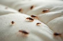 Nos prestations sur le secteur de Toulon Var