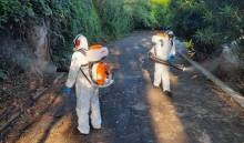 Nos prestations sur le secteur de Grasse Alpes-Maritimes