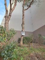Nos prestations sur le secteur de Fréjus St-Raphaël 83