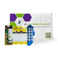 Nos prestations sur le secteur de Salon-de-Provence 13